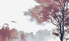 2022年必离婚的生肖男 属狗男很容易遭遇婚变