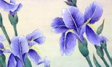 2022年冬至具体时间是几点 2022年冬至是星期几