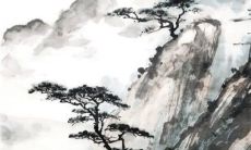 冬五九是什么日子 农历的五九是什么意思