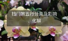 挡门煞五行分类及影响、化解