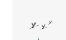 2023二十四节气表时间 节气的划分方法