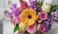 居家风水之植物中的风水讲求