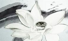 二十四节气立春吃春饼 春卷的由来和传说故事