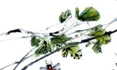 生在正月还没立春是几月 为什么不按立春算属相