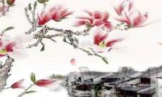 今年立春有啥不同 兔年两头春什么意思