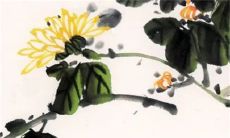 中元节有什么禁忌和规矩 不走夜路不下水