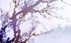 2022年喜得贵子的女生肖 生肖鼠是非常幸福的一年