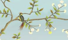 白露节气有吃龙眼的典故吗 白露吃龙眼,一颗顶只鸡