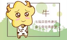 不看名利注重内在修养的生肖