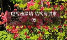 电视违景墙 结构有讲求哦