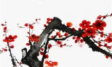 中元节的来历和风俗 说法不一习俗众多