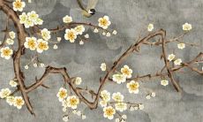 2022年白露是几月几号 凉风至,白露降,寒蝉鸣