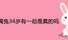 87年属兔34岁有一劫是真的吗 2021年运势运程如何