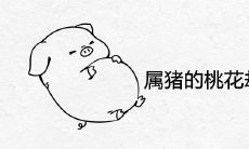 属猪的桃花劫是什么生肖