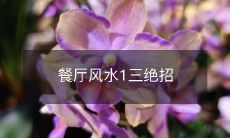 餐厅风水1三绝招