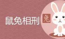 命理鼠兔相刑反而好是真的吗 子卯相克对谁不利