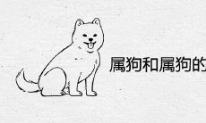 属狗和属狗的婚姻相配吗