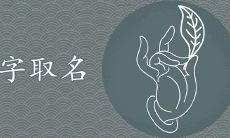 硕的寓意好吗 跟哪个字搭配取名最好