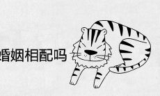 属虎和属鸡的婚姻相配吗