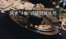风水“4兽”识破财风水局