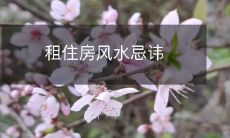 租住房风水忌讳