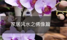 家居风水之佛像篇