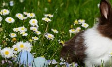 1987年属兔命中三劫在什么时候