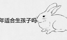 属兔2022年适合生孩子吗