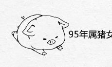 95年属猪女2022年能不能生子