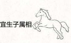 2022年虎年最宜生子的属相