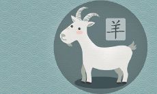 属羊的2022年虚岁多大 年龄对照表大全