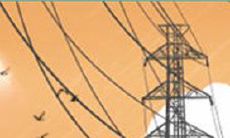 水瓶座最爱和最恨的新年祝福