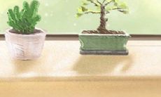 2015年升学考试首选风水灵物