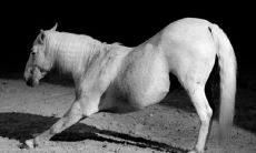 属马女什么时辰出生财运大 几点出生大富大贵