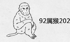 92属猴2022年适合生孩子吗