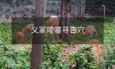 义冢陵寝寻吉穴