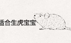 属鼠2022年适合生虎宝宝吗