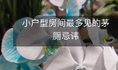 小户型房间最多见的茅厕忌讳