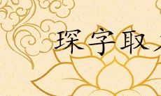 琛用做男孩名的意思好不好 好听稀少的男孩名字