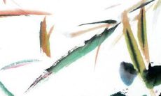 生辰八字解析:2023年2月2日出生的宝宝是什么命,五行缺什么