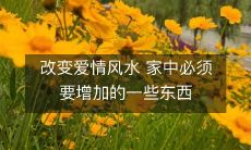 改变爱情风水 家中必须要增加的一些东西