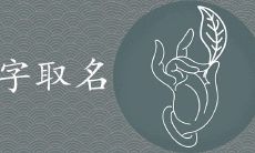 澜字取名寓意如何 有涵养的古风女孩名字