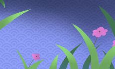 女孩叫莞好吗 莞和菀哪个适合当名字