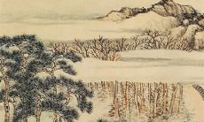 2023兔年1月9日出生的宝宝是什么命 踏实稳重健康无忧