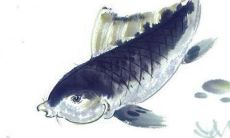 生辰八字解析:2023年2月6日出生的宝宝是什么命,五行缺什么