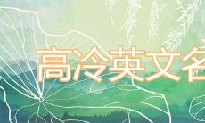 不常见又高冷的英文名如何取最独特