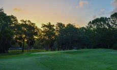 什么种类的树能旺财旺家宅风水