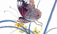 生辰八字解析：2023年2月4日立春出生的宝宝是什么命，五行缺什么