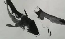 2023年1月30日出生的男宝宝命好吗 精灵古怪天生活泼