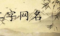 好听二字干净网名最吸引人的有哪些